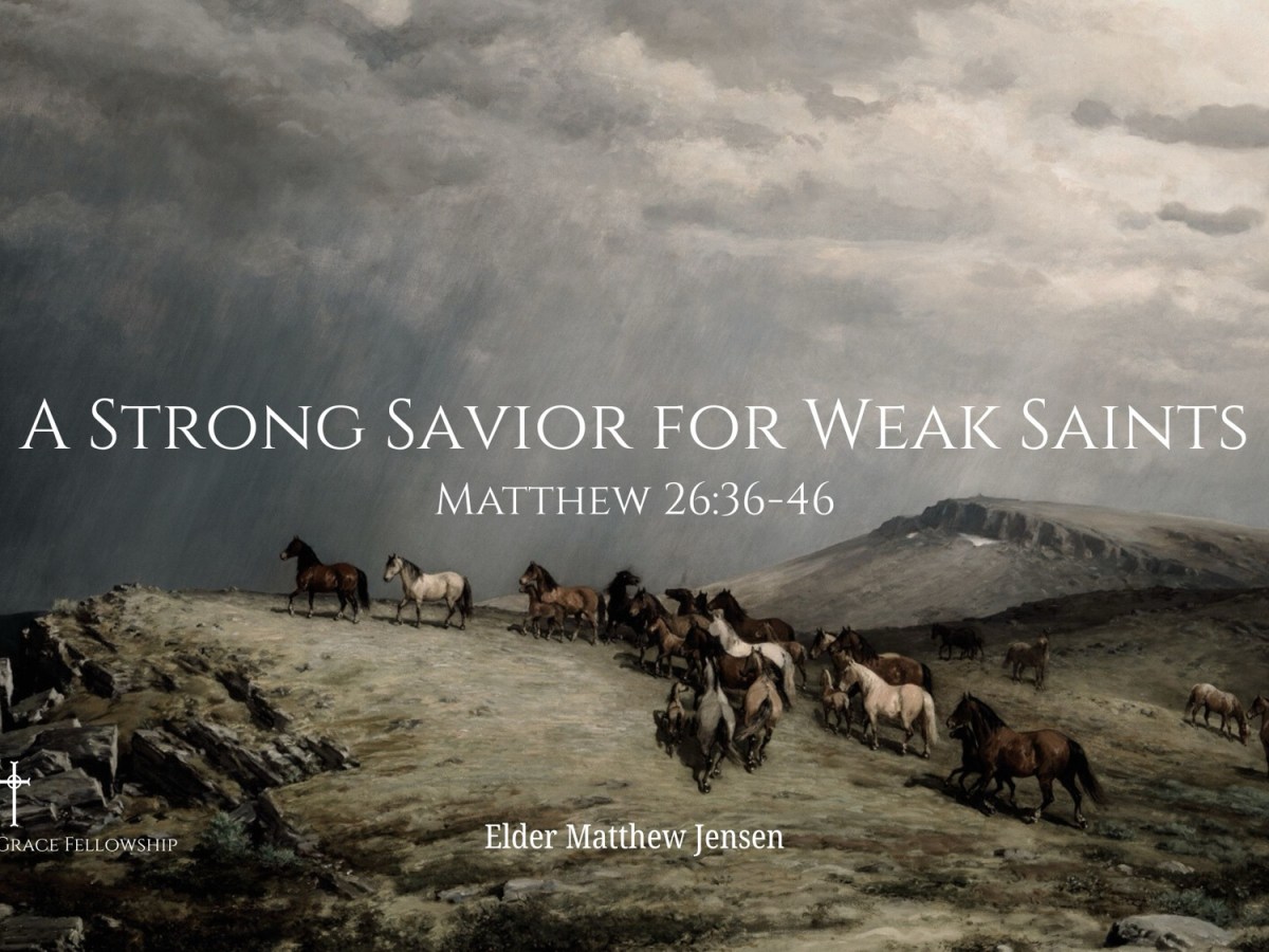 The Sufferings of the&nbsp;Savior